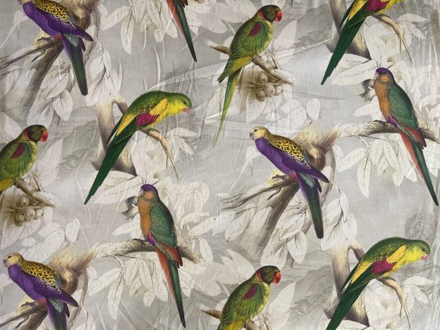 Perroquet Maracaibo lin-multi